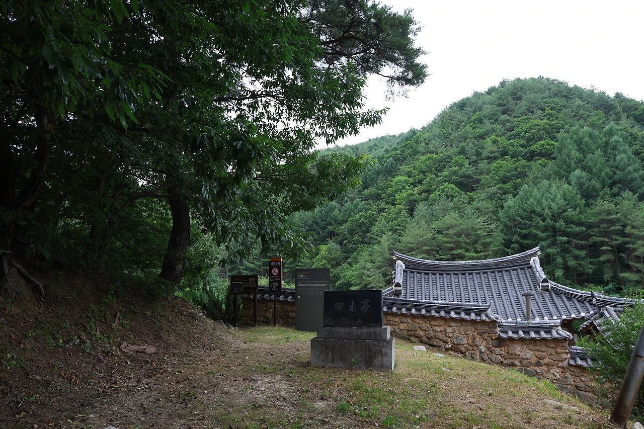 0R5A8602_новый размер.JPG