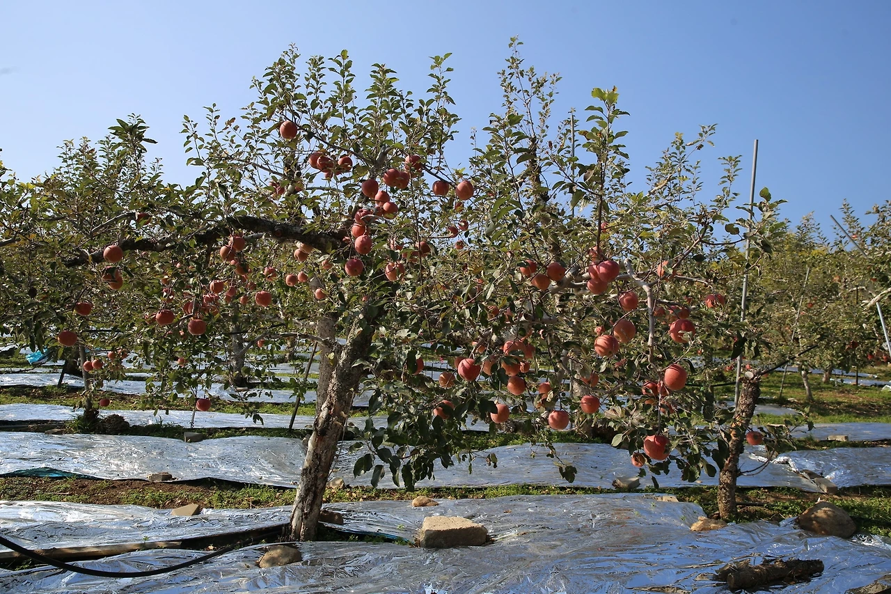 MG0A8224_новый размер.JPG