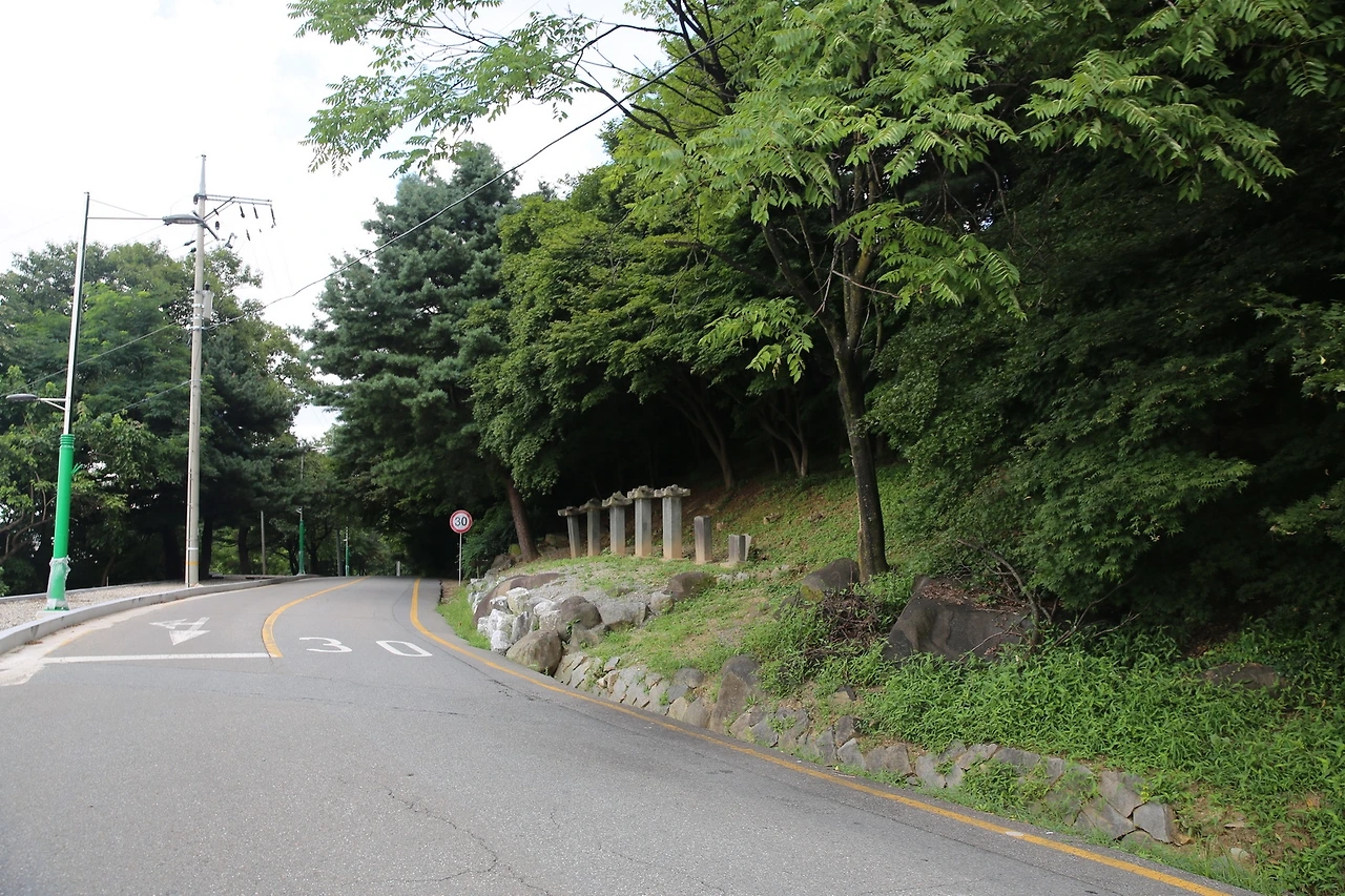 MG0A7833_новый размер.JPG