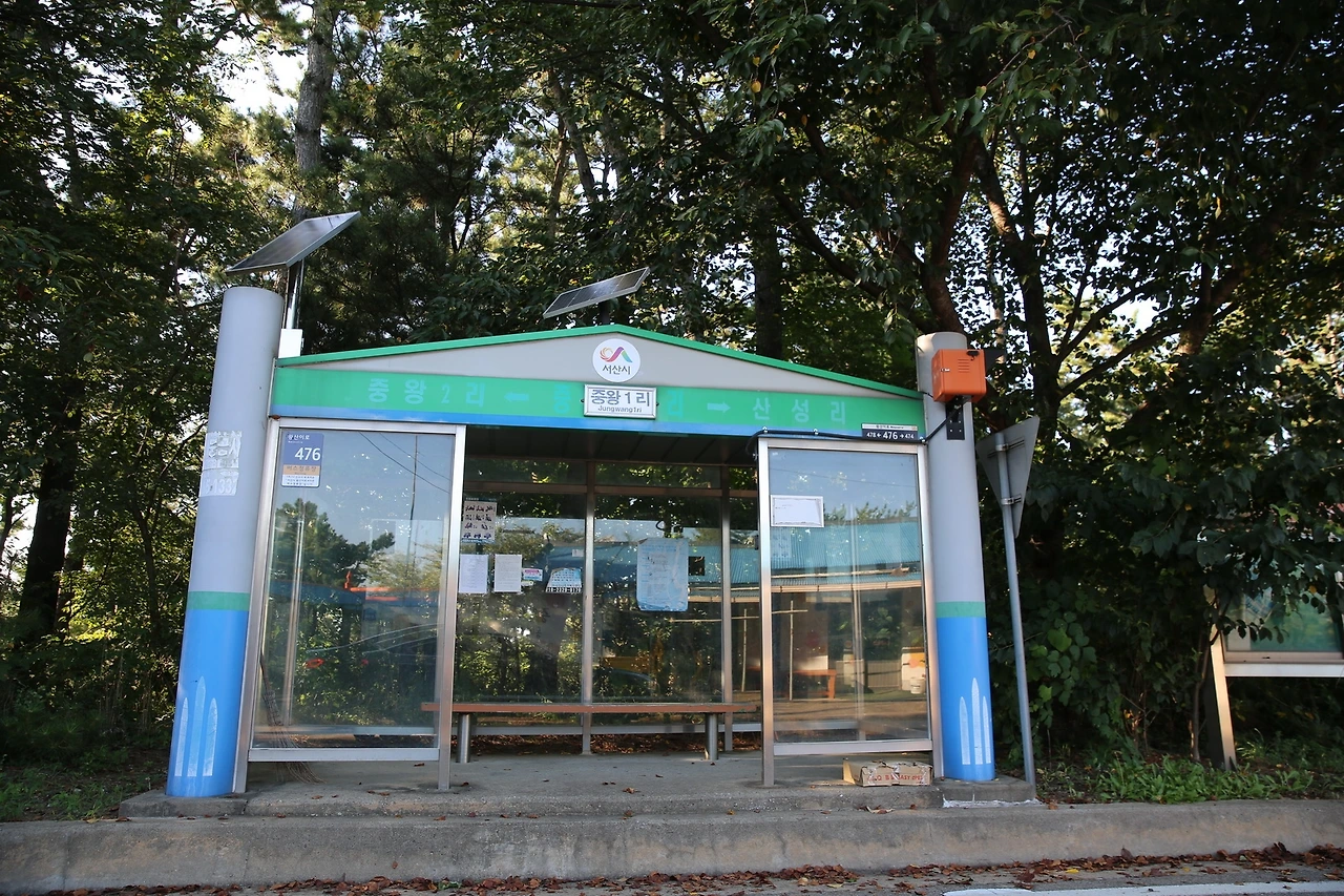 MG0A9274_новый размер.JPG