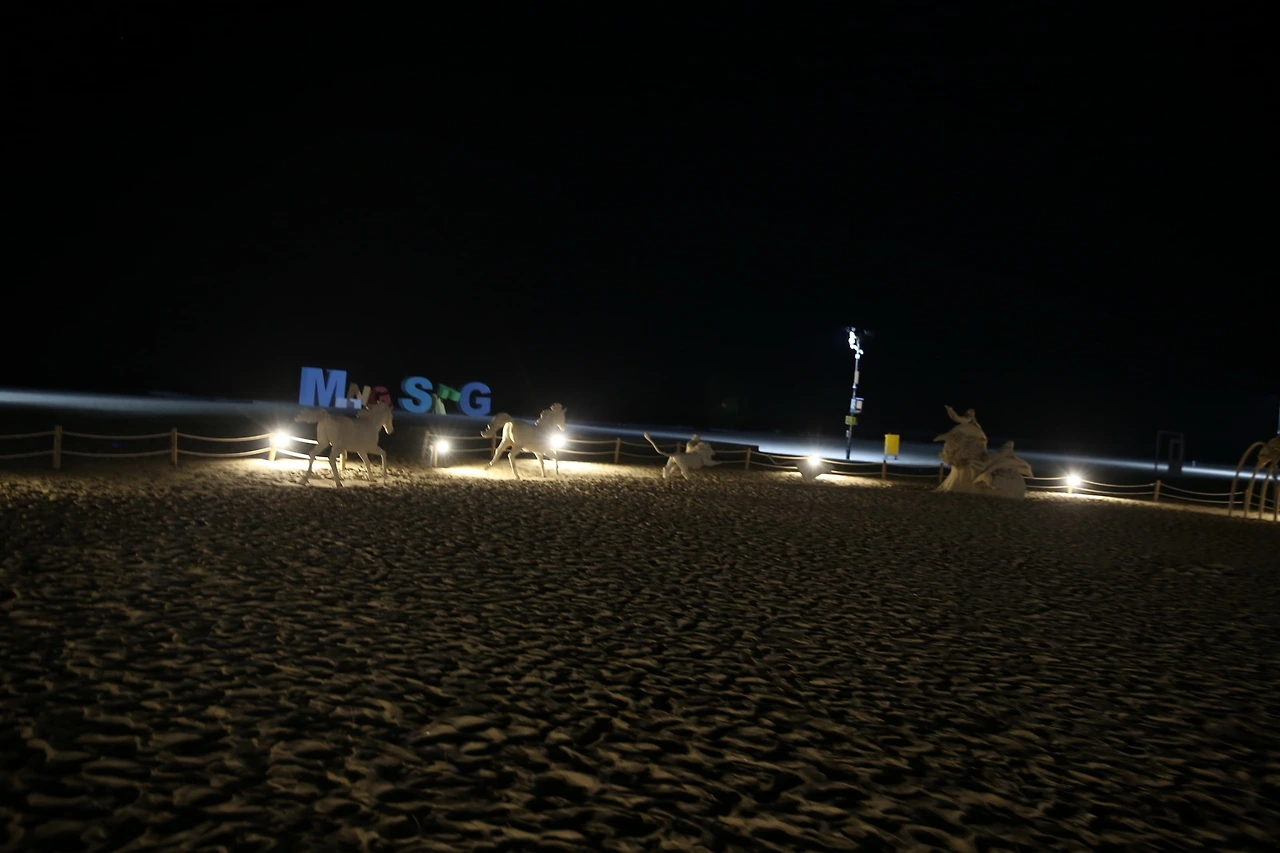 MG0A2366_новый размер.JPG