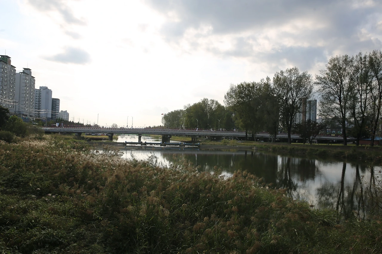 MG0A5701_новый размер.JPG