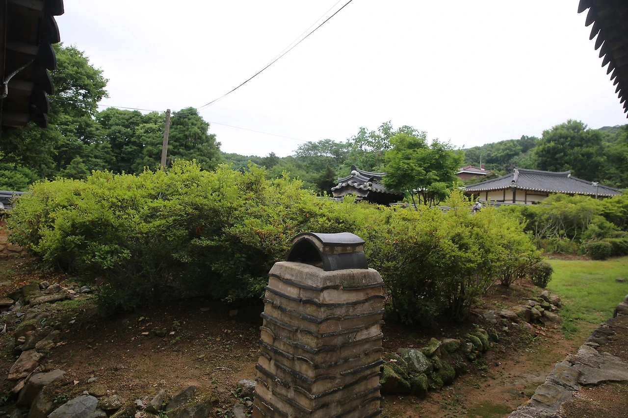 MG0A3277_новый размер.JPG