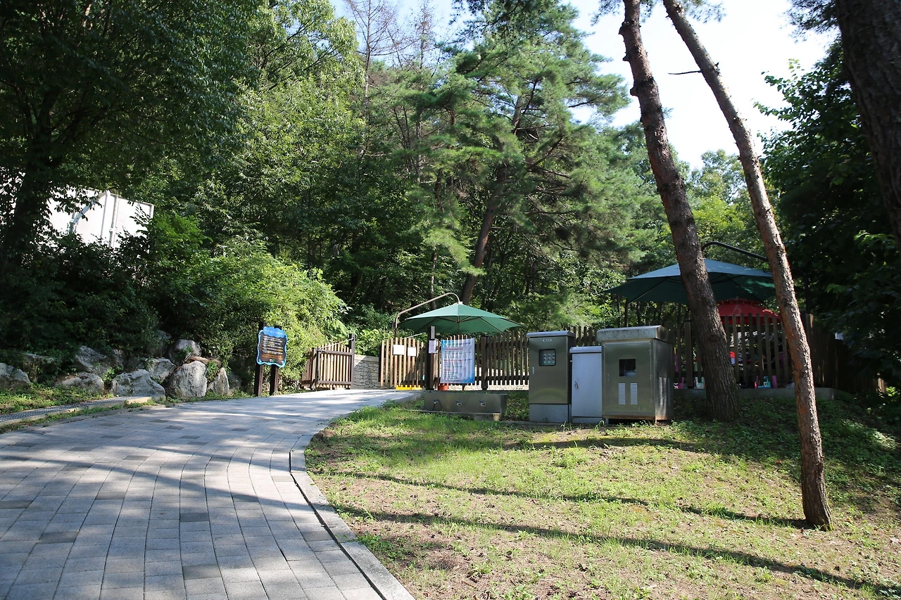 MG0A6786_новый размер.JPG