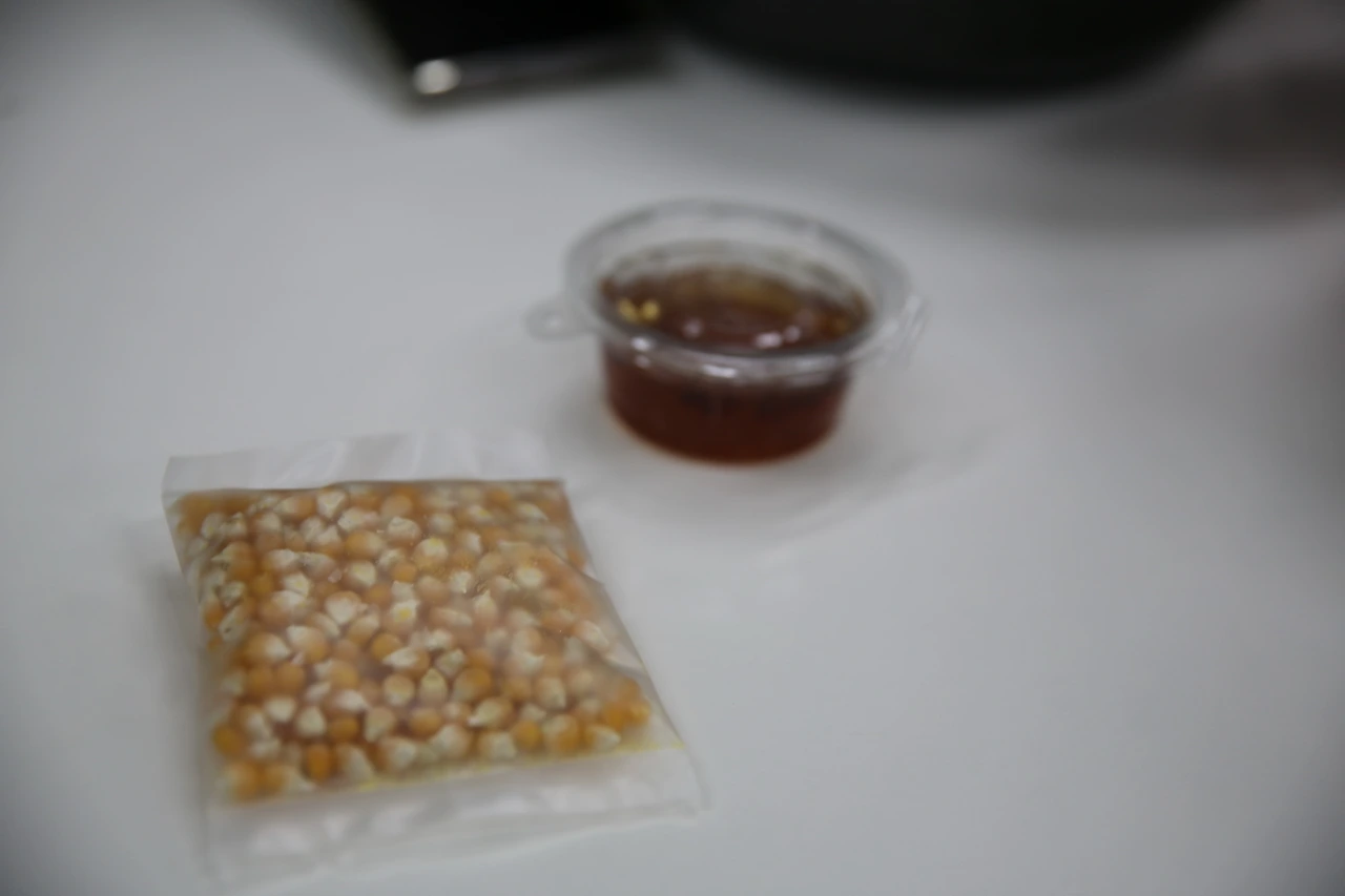 MG0A3676_новый размер.JPG