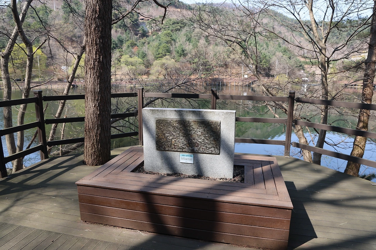 0R5A6484_новый размер.JPG