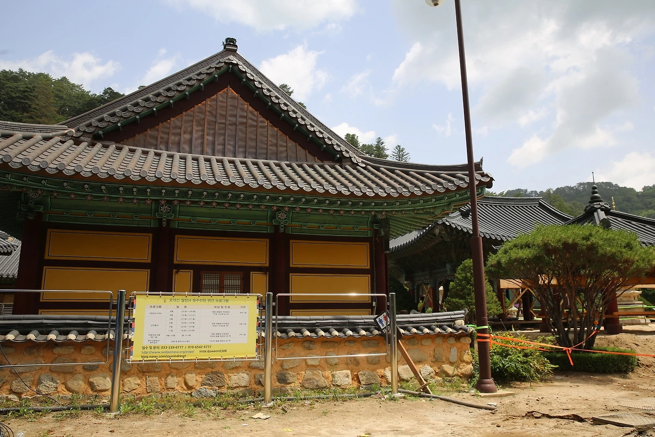 MG0A0779_новый размер - 복사본.JPG