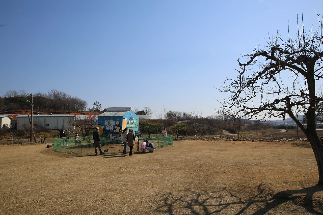 MG0A3416_новый размер.JPG