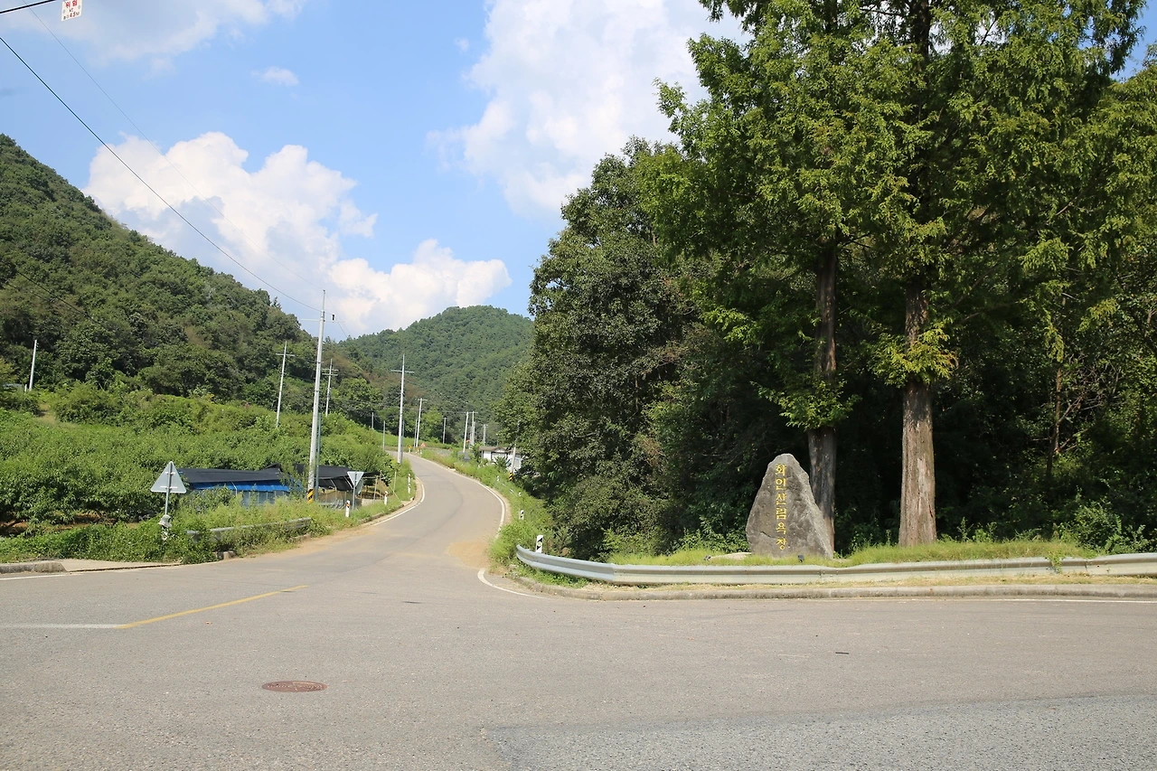 MG0A1510_новый размер.JPG