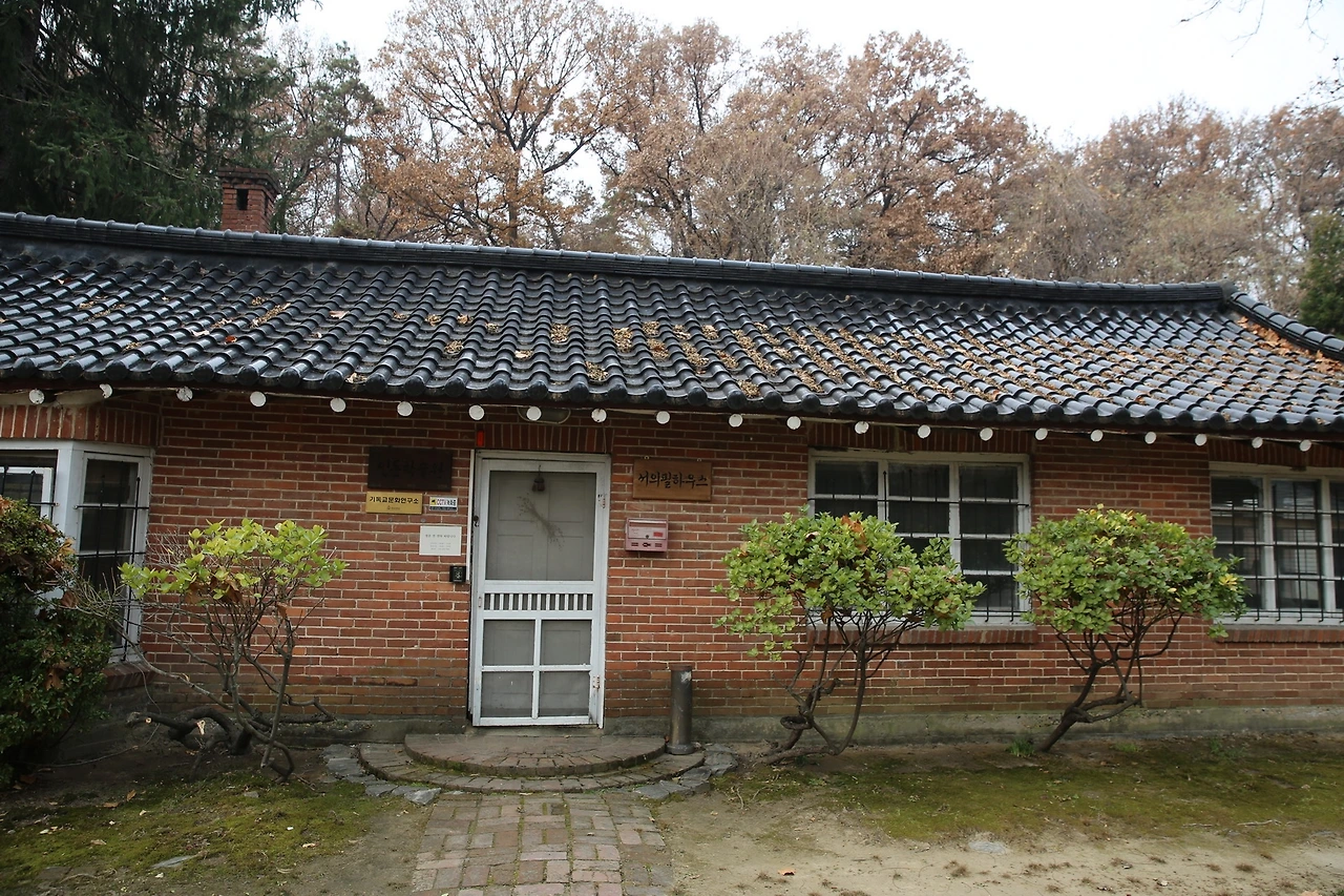 MG0A3621_новый размер.JPG