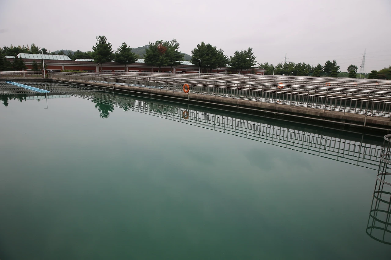 MG0A8488_новый размер.JPG