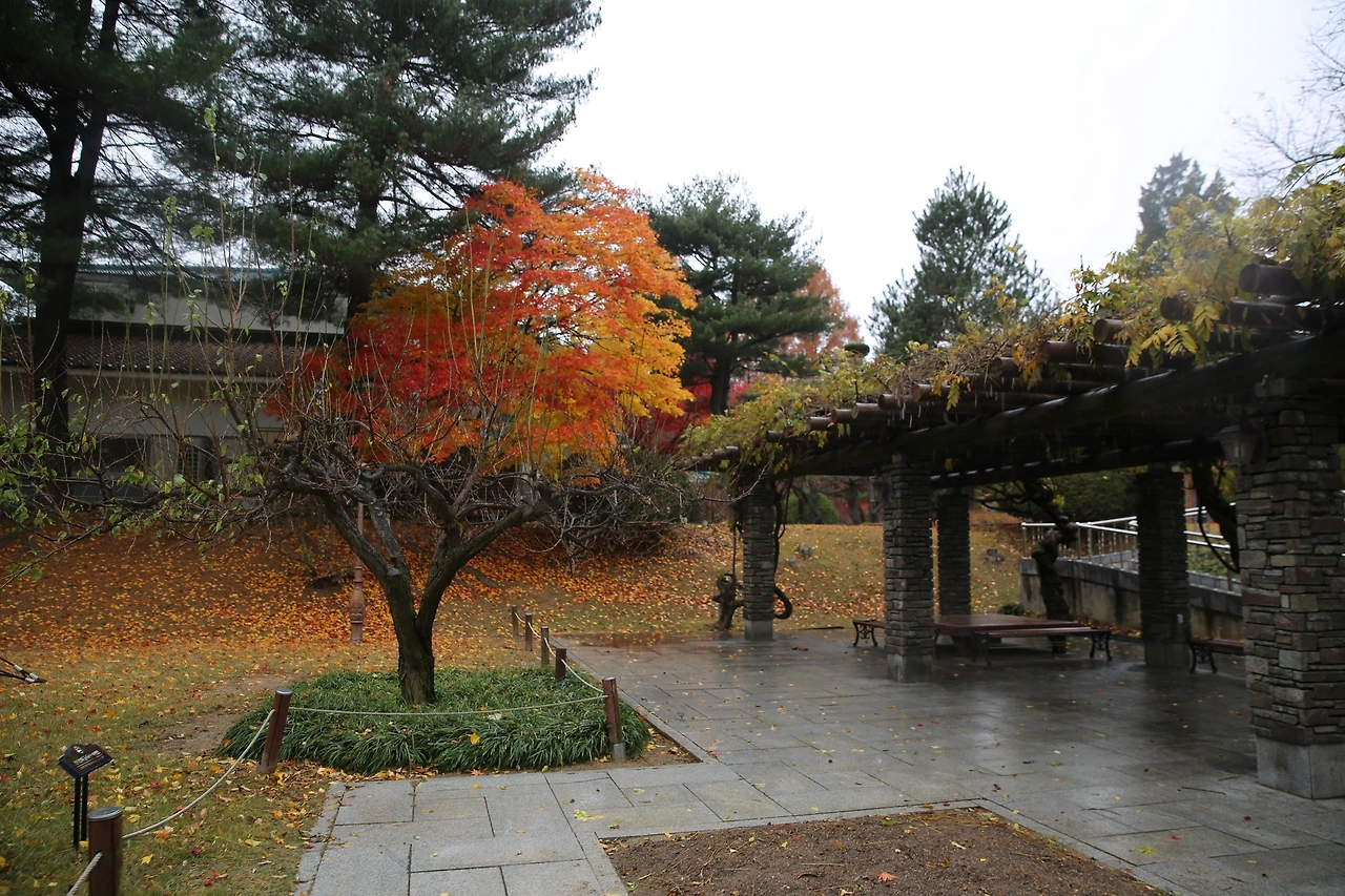 MG0A2053_новый размер.JPG