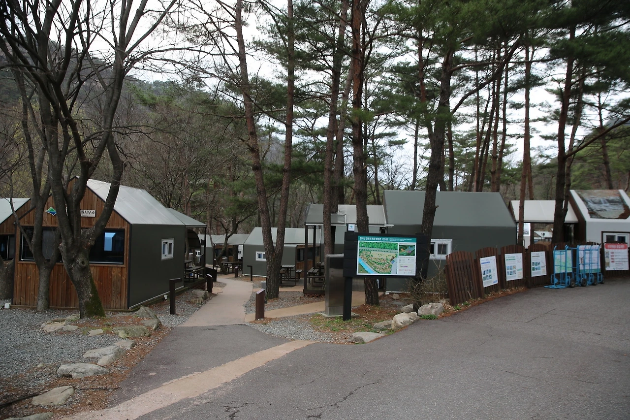 MG0A8406_новый размер.JPG