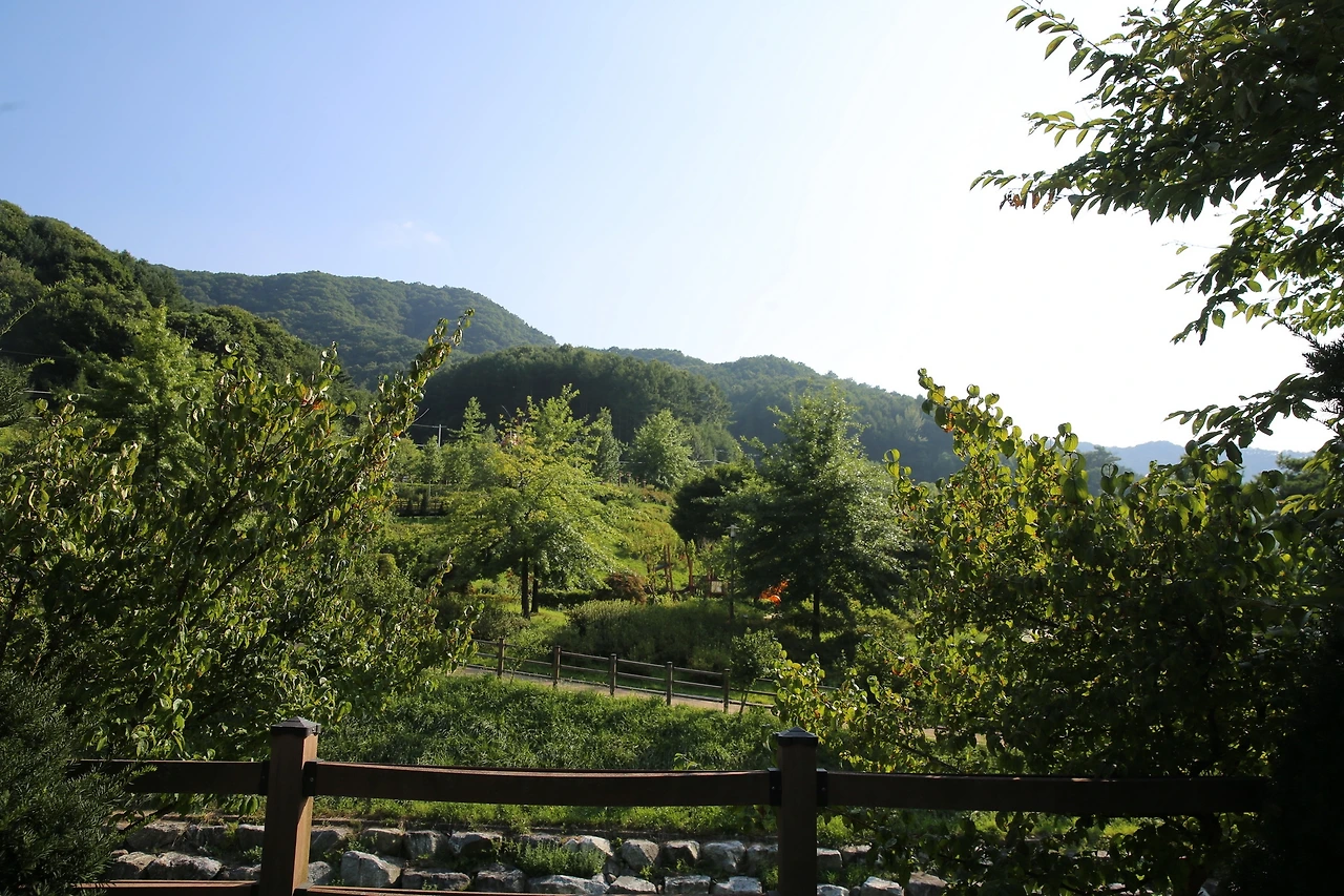 MG0A6843_новый размер.JPG