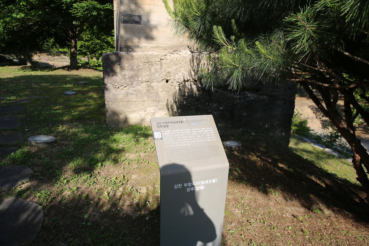 MG0A9531_новый размер.JPG