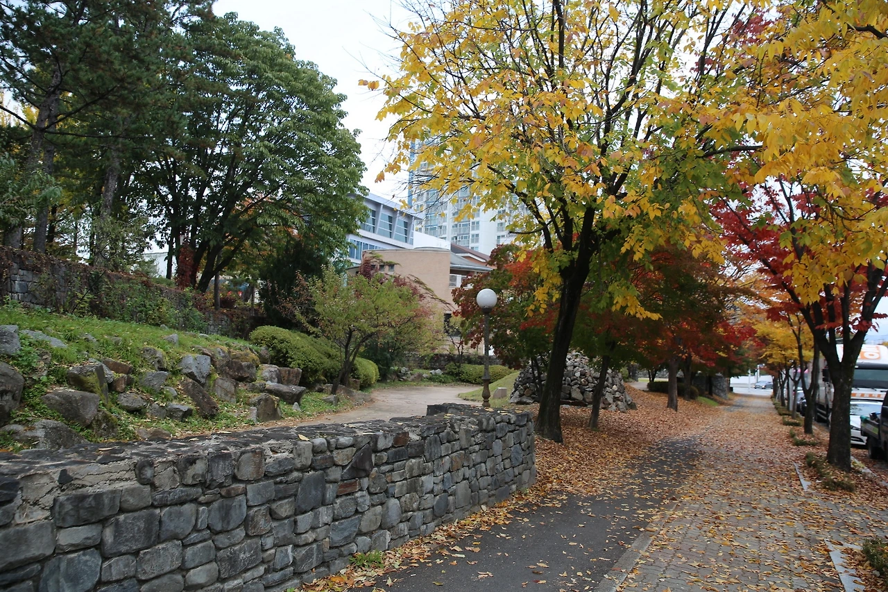 MG0A7692_новый размер.JPG