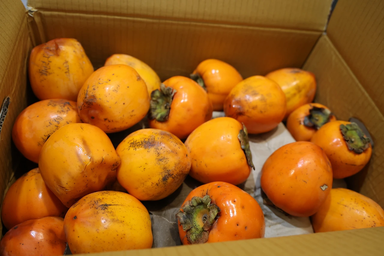 0R5A4794_новый размер.JPG