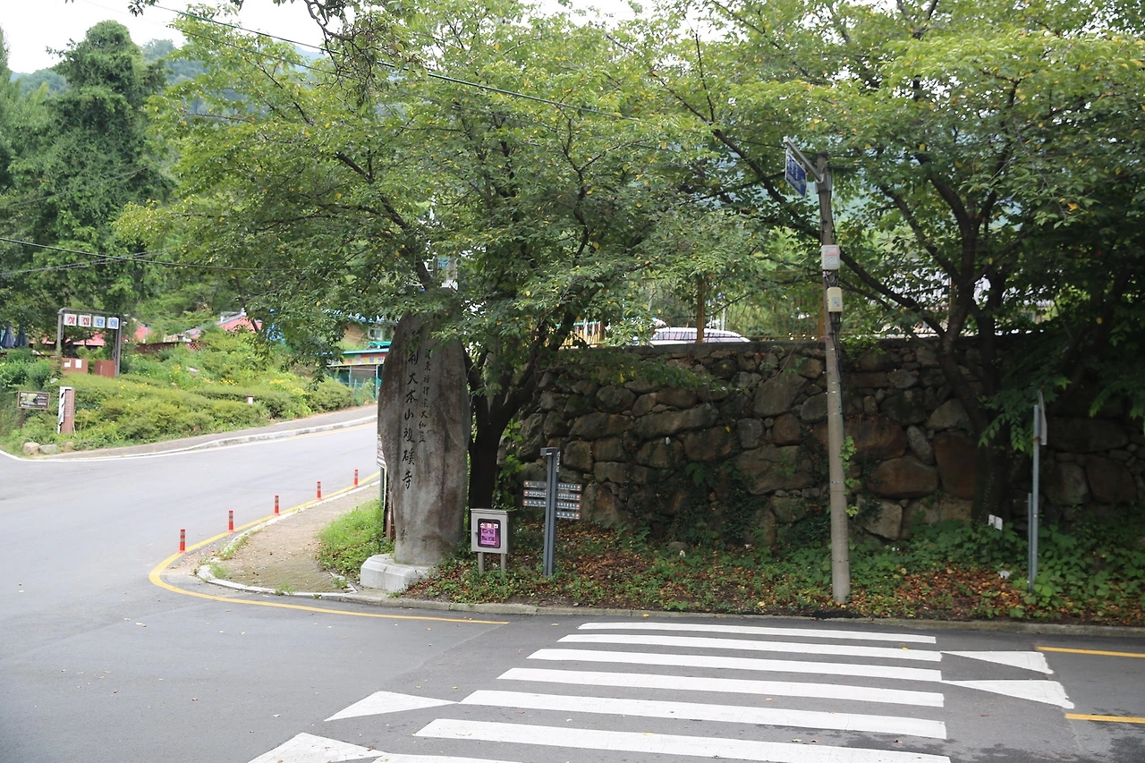 MG0A8349_новый размер.JPG