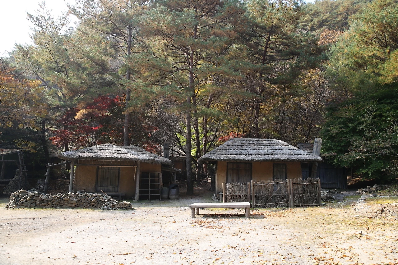 MG0A8009_новый размер.JPG