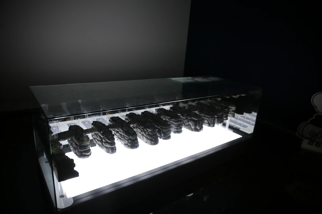 MG0A4765_новый размер.JPG