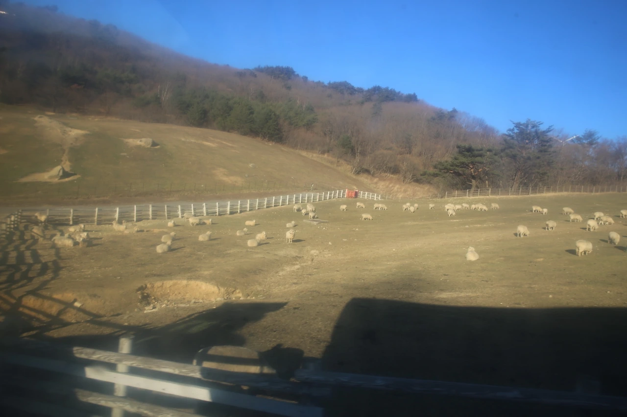 MG0A1737_новый размер.JPG