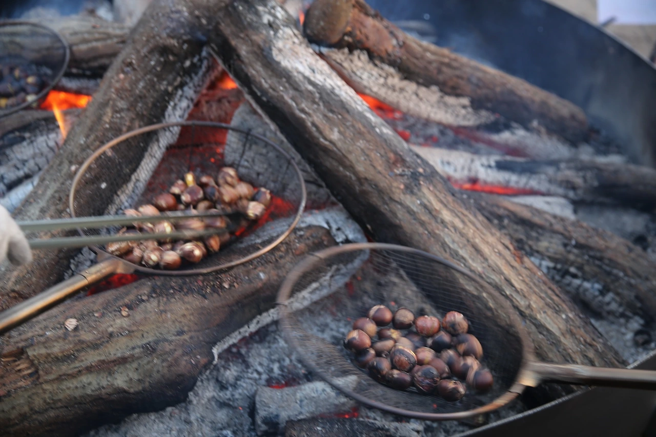 MG0A8783_новый размер.JPG