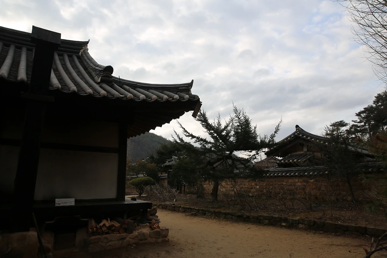 MG0A2502_новый размер.JPG