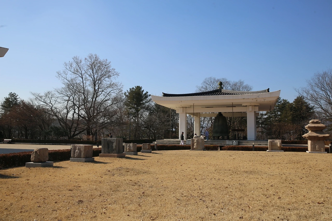 MG0A8095_новый размер.JPG