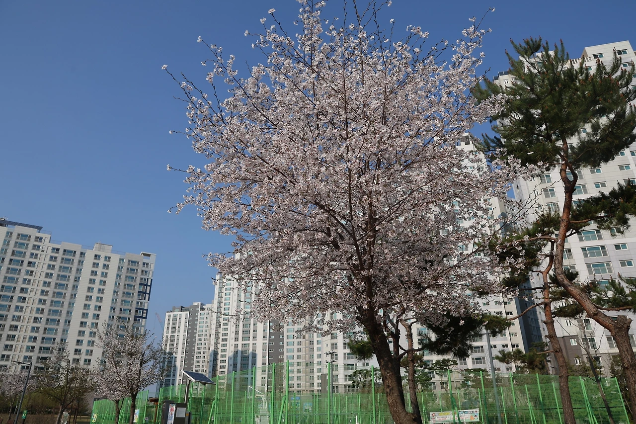 0R5A6306_новый размер.JPG