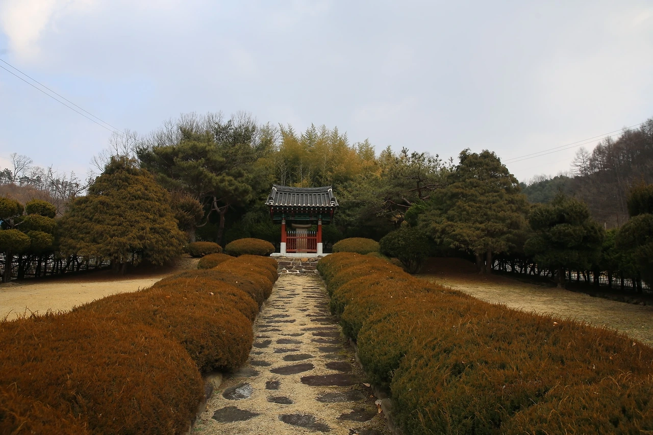 MG0A9748_новый размер.JPG