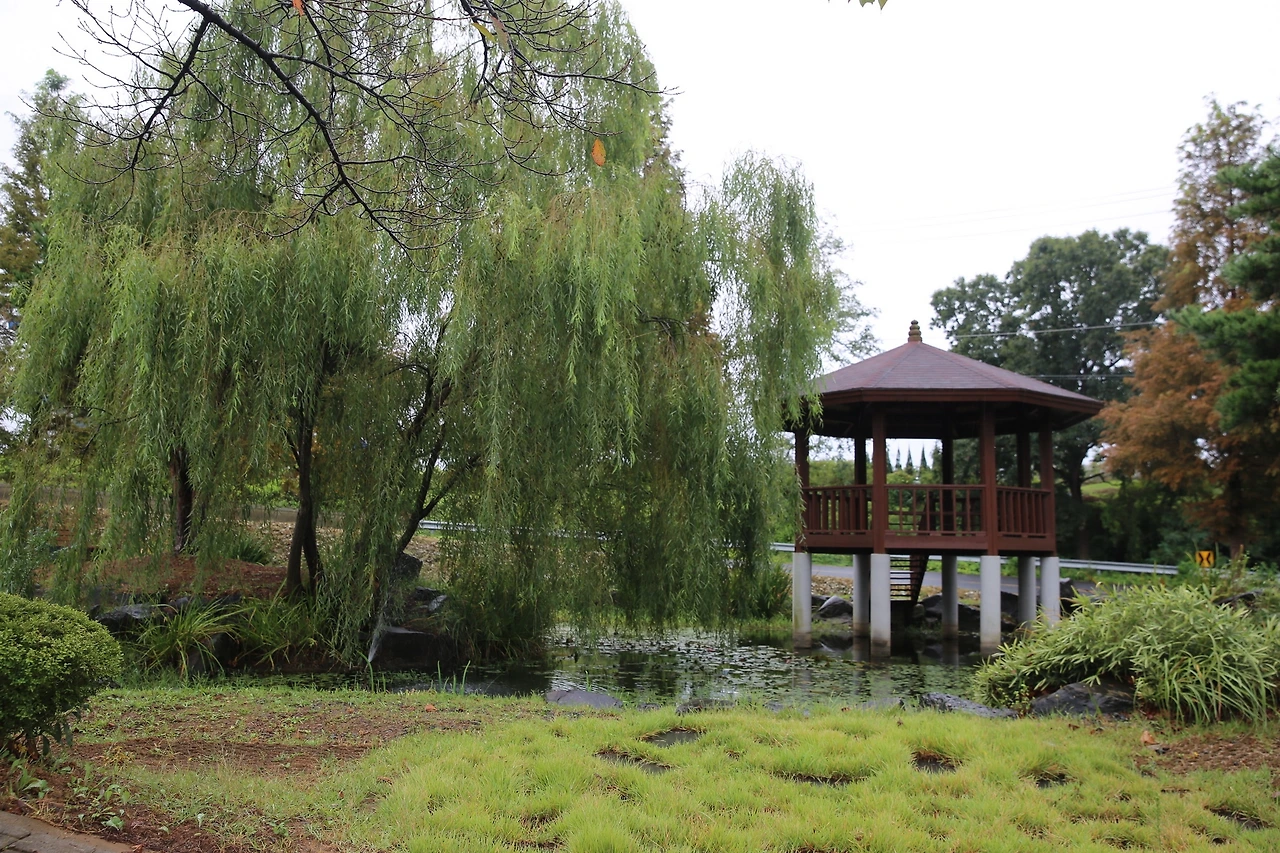 MG0A5040_новый размер.JPG