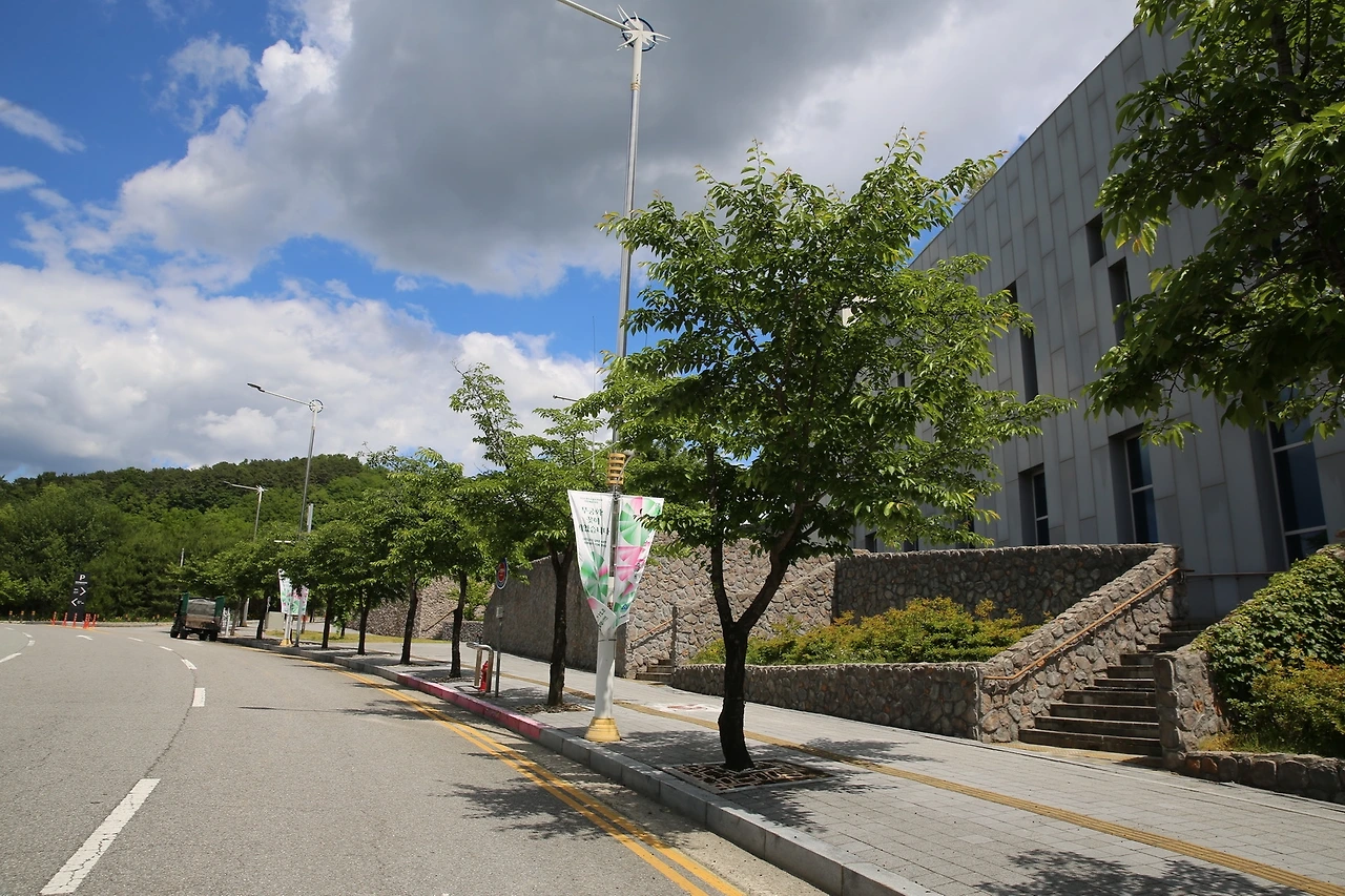 MG0A4877_новый размер.JPG