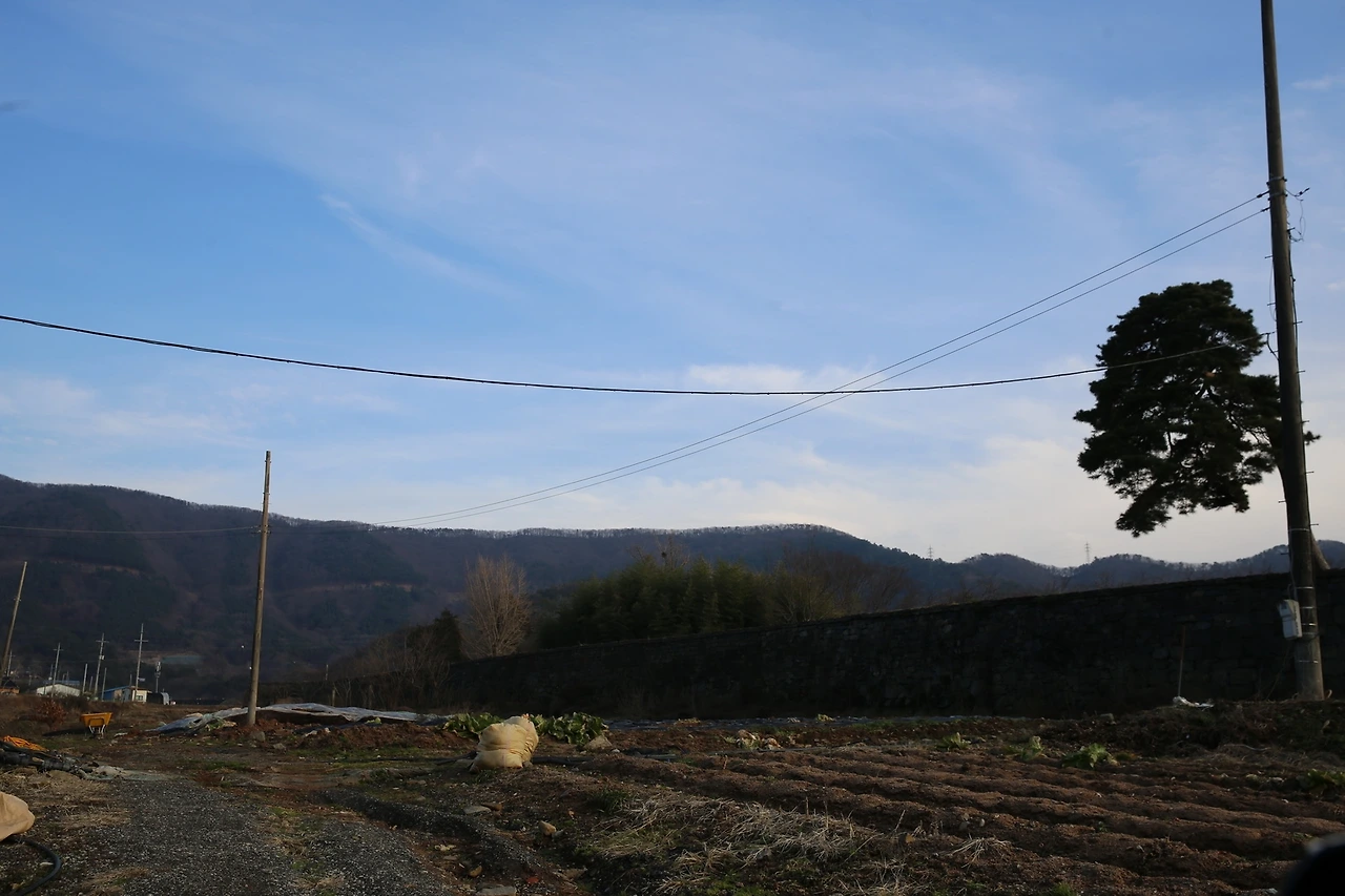 MG0A6901_новый размер.JPG