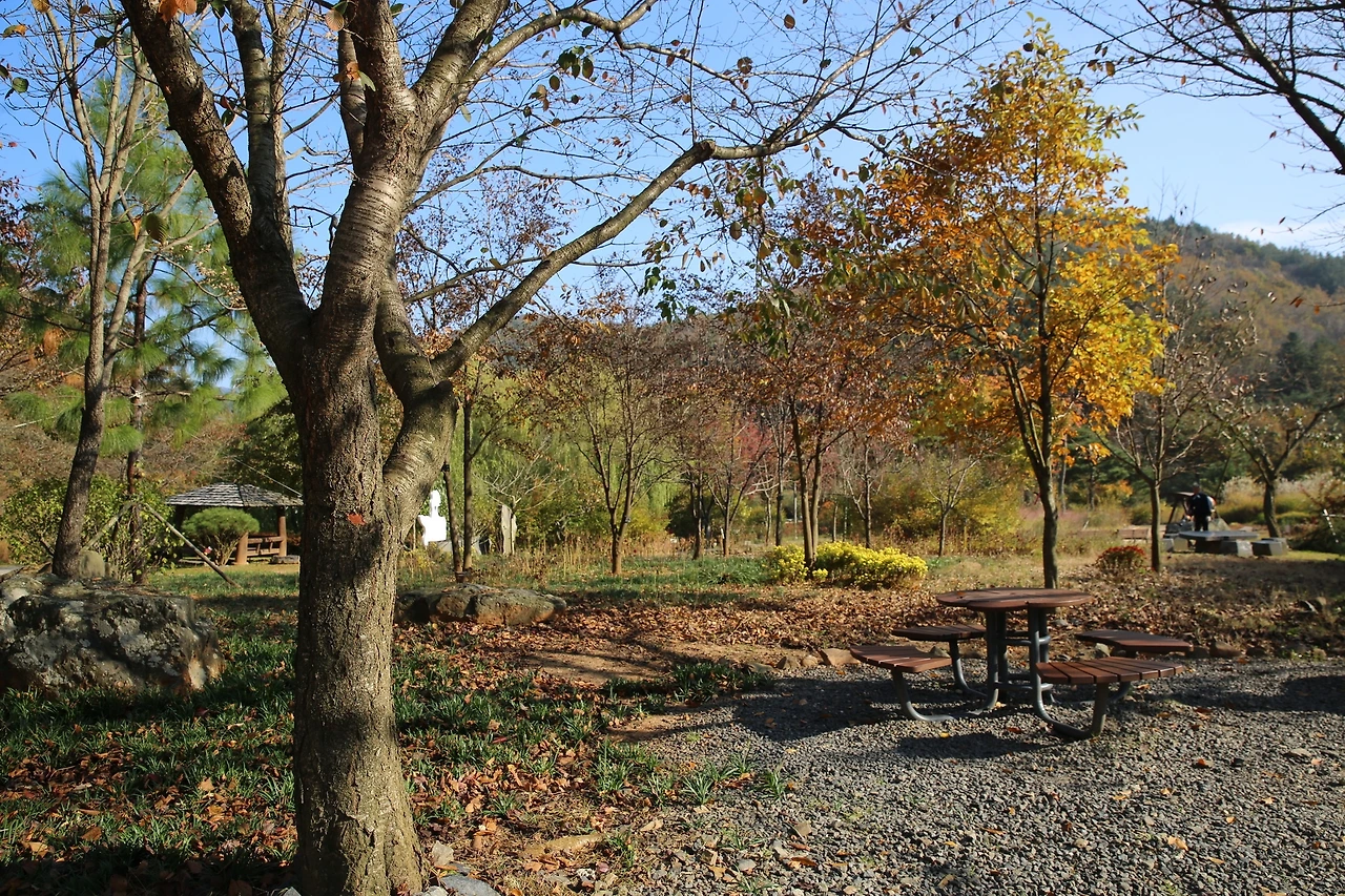 MG0A9341_новый размер.JPG