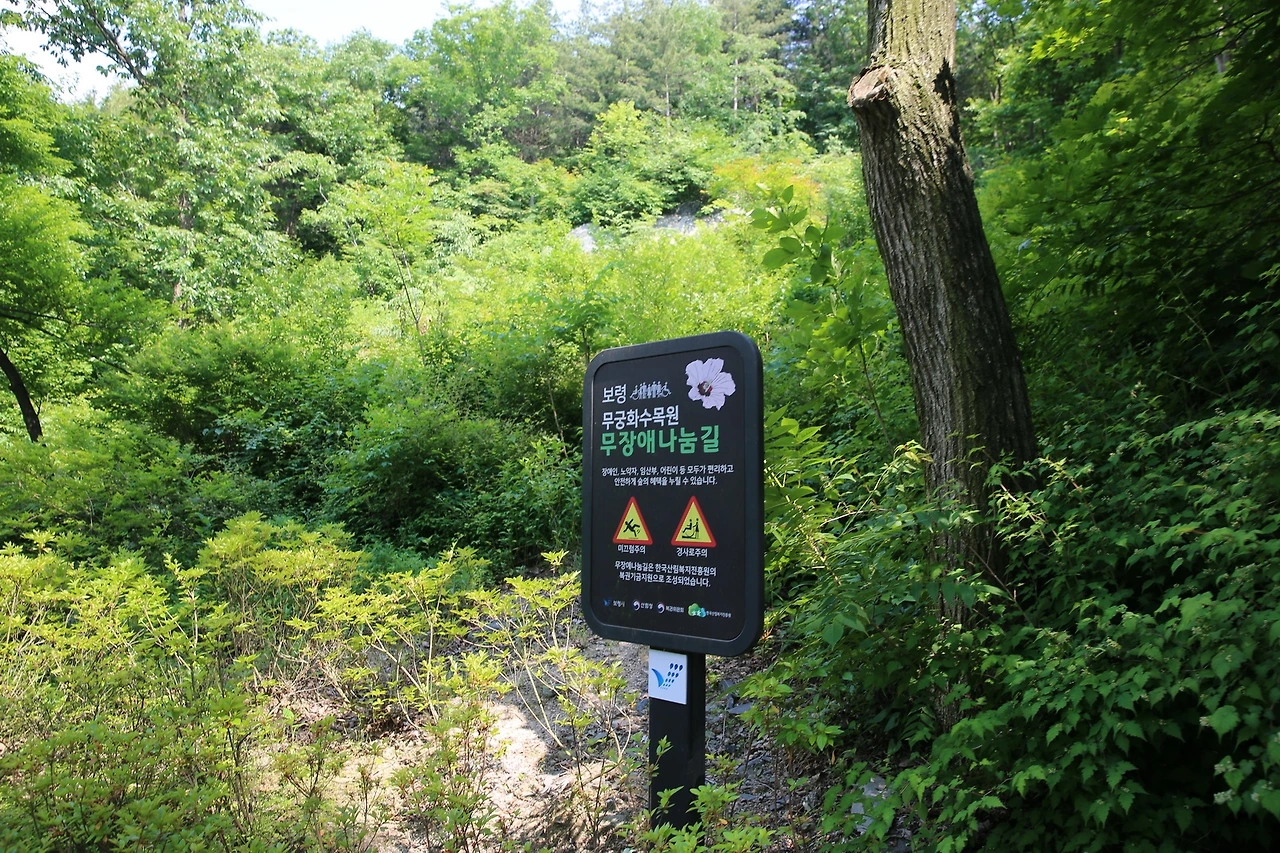 MG0A6387_новый размер.JPG