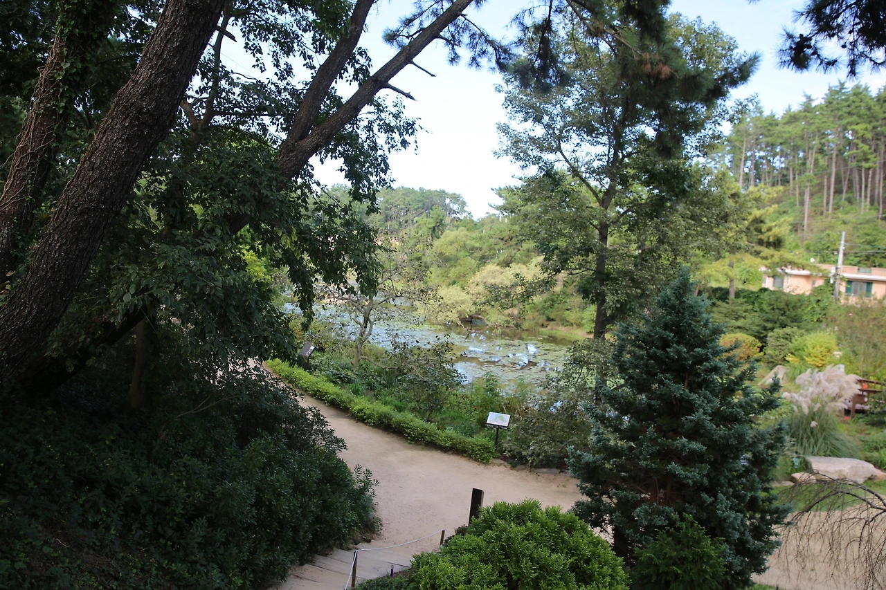 MG0A1371_новый размер.JPG