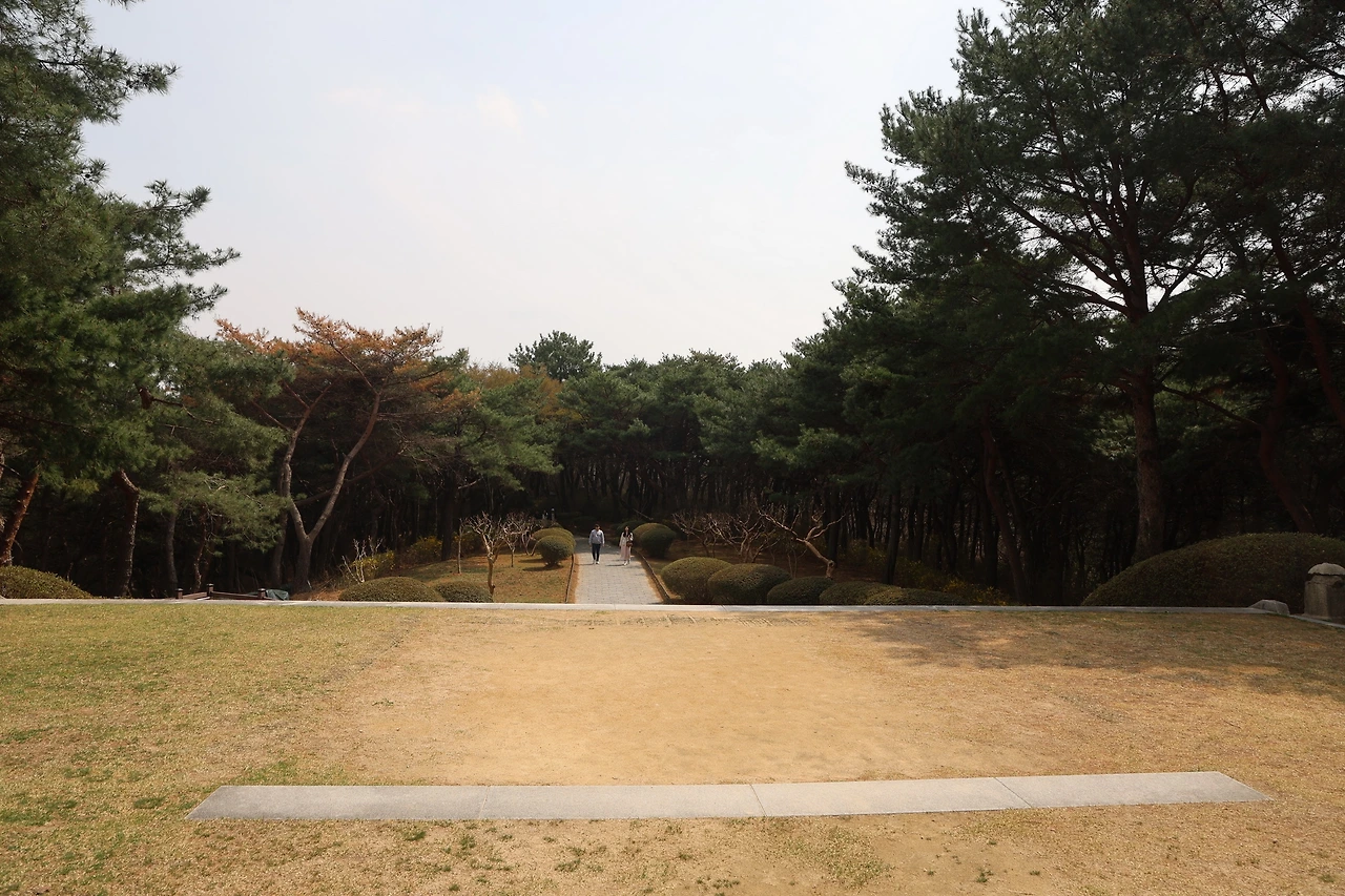 0R5A4707_новый размер.JPG