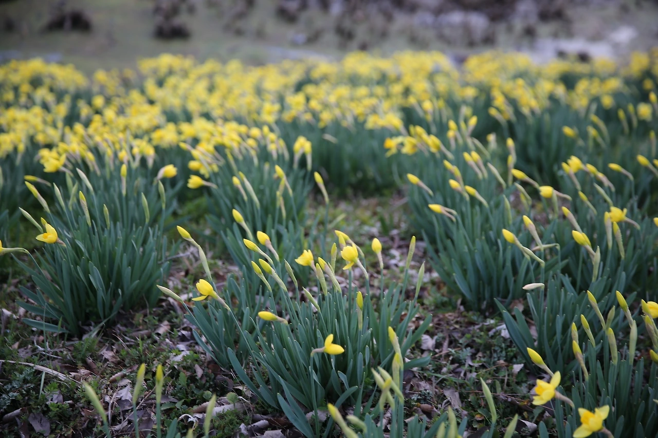 MG0A5978_новый размер.JPG