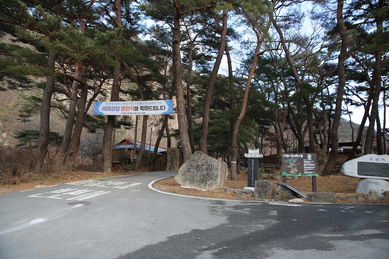 MG0A5467_новый размер.JPG