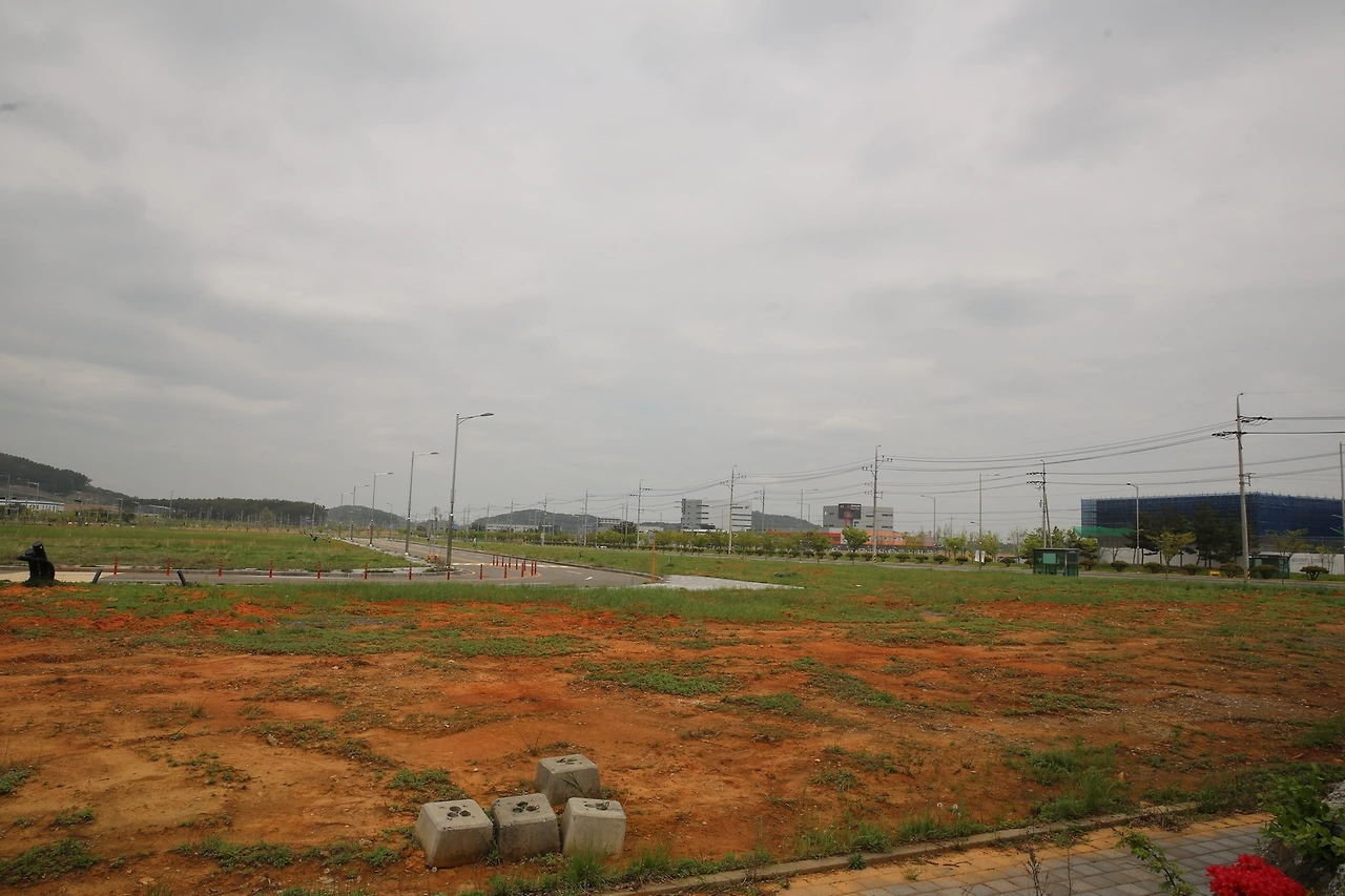 MG0A0524_новый размер.JPG