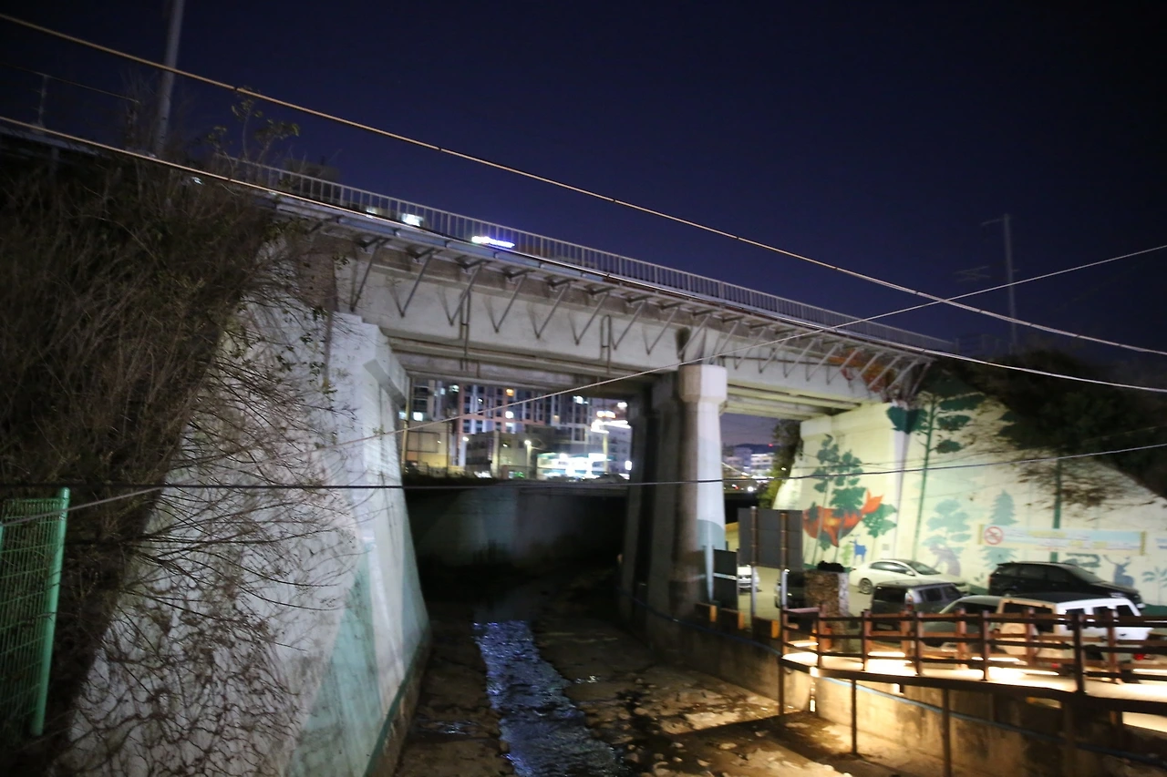 MG0A2355_новый размер.JPG