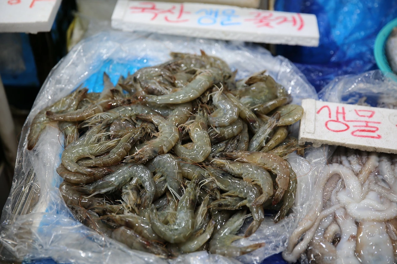 MG0A9896_новый размер.JPG