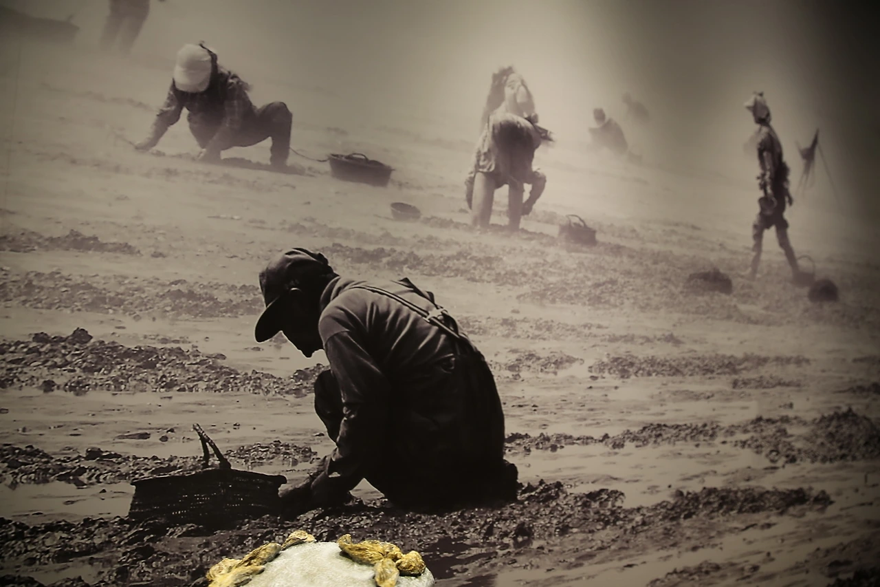 MG0A5562_новый размер.JPG