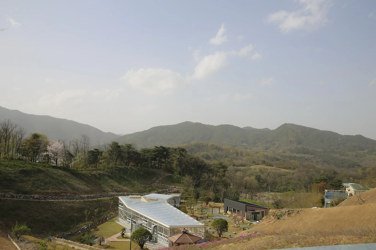 MG0A9919_новый размер.JPG