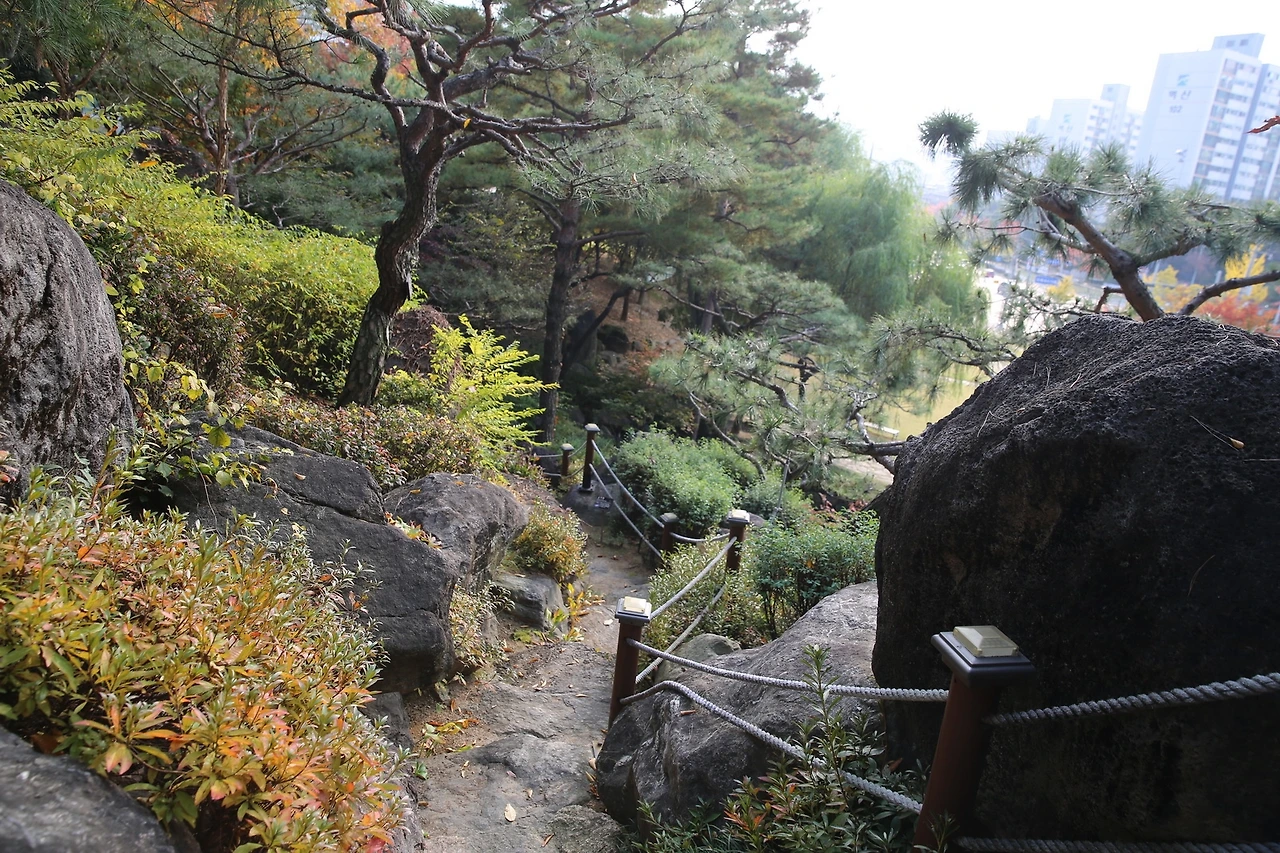 MG0A7638_новый размер.JPG