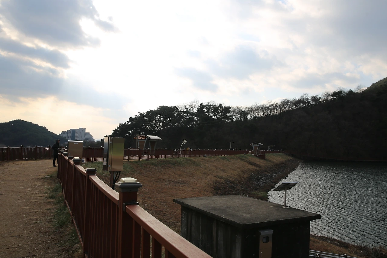 MG0A4953_новый размер.JPG