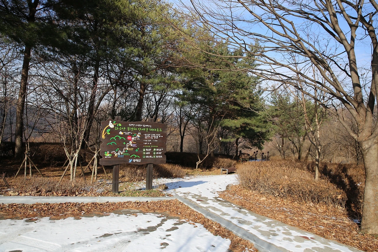 MG0A5590_новый размер.JPG