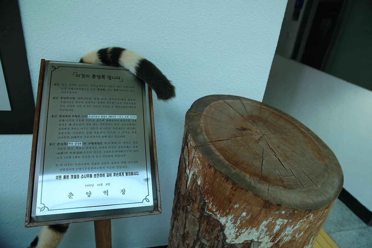 MG0A8316_новый размер.JPG