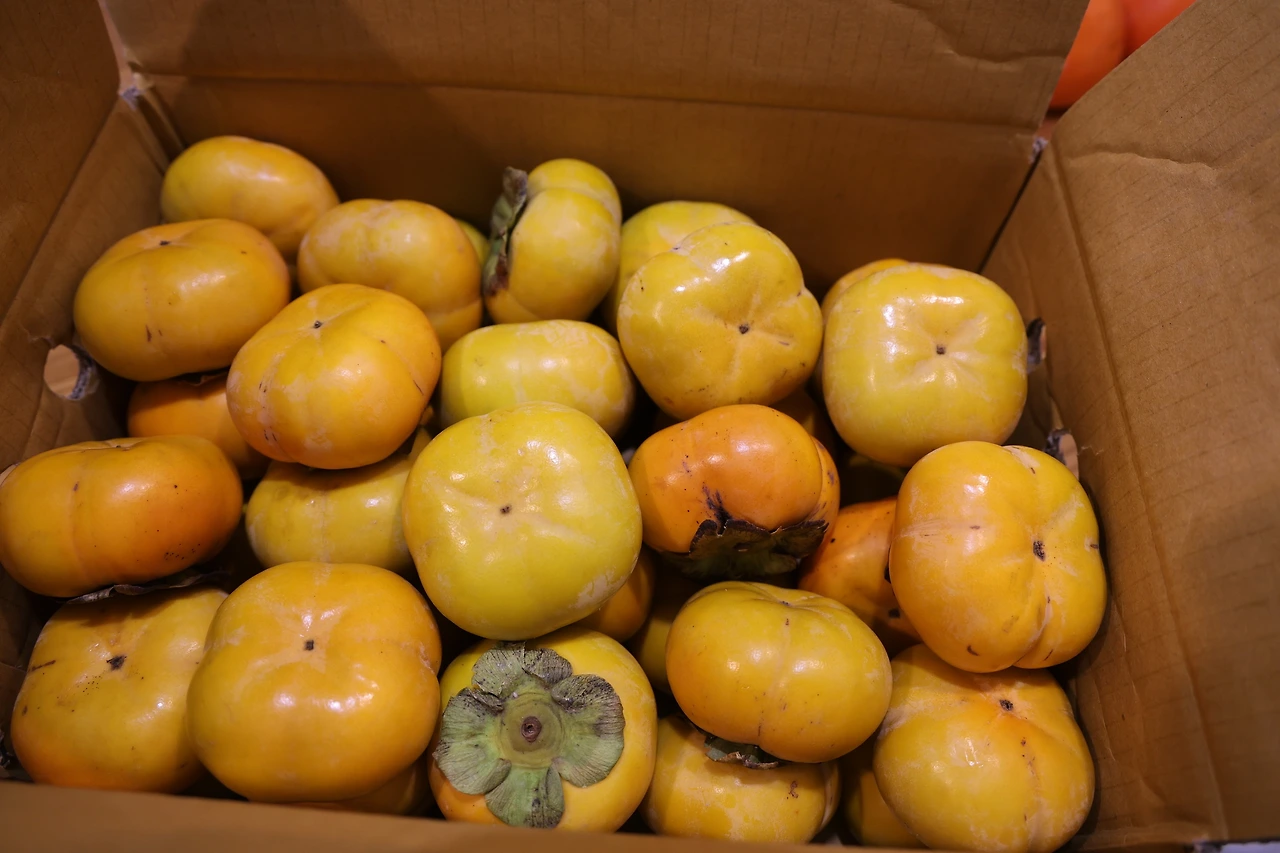 0R5A2315_новый размер.JPG