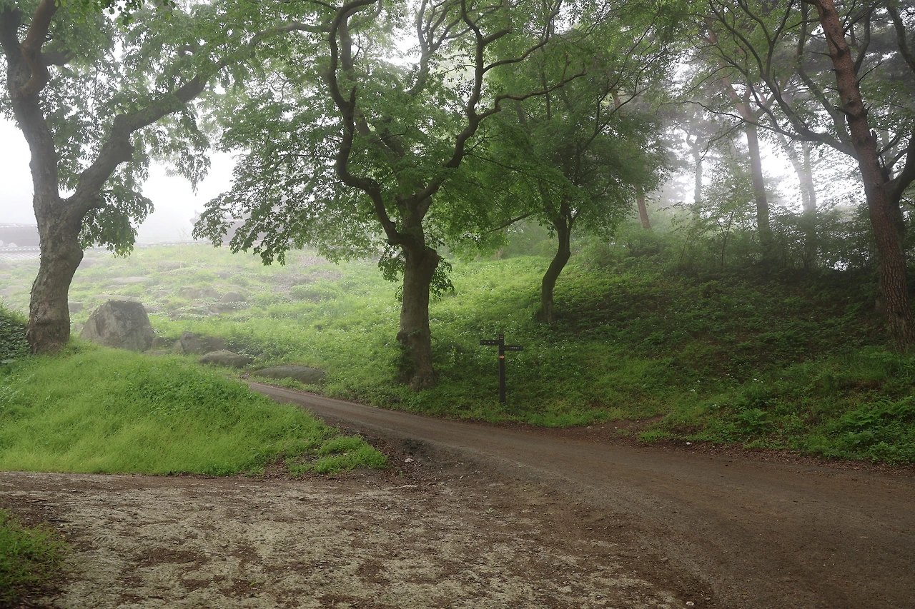 0R5A0764_новый размер.JPG